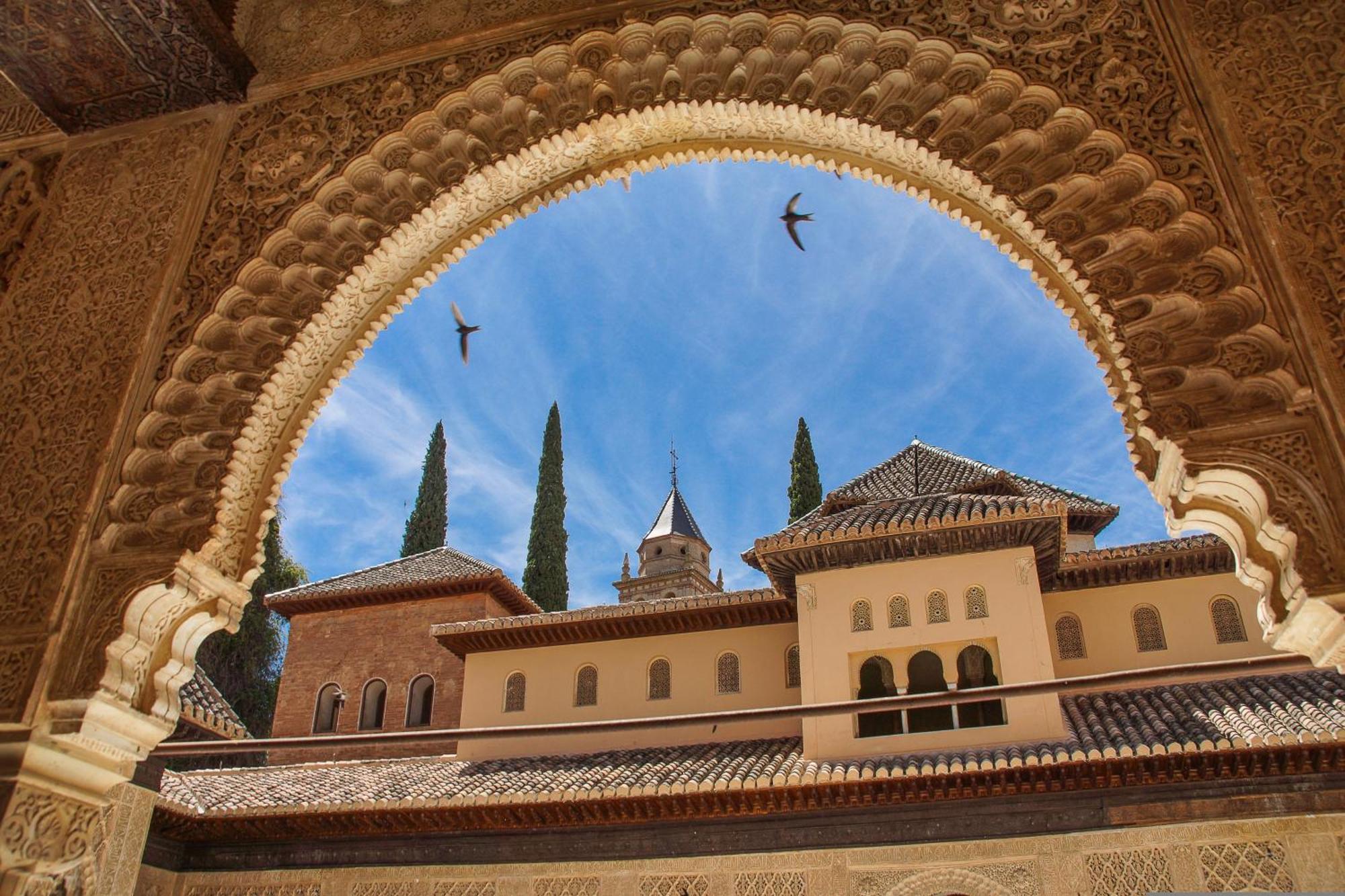 Dali'S Sanctuary In Granada - Private Parking Free Apartamento Exterior foto