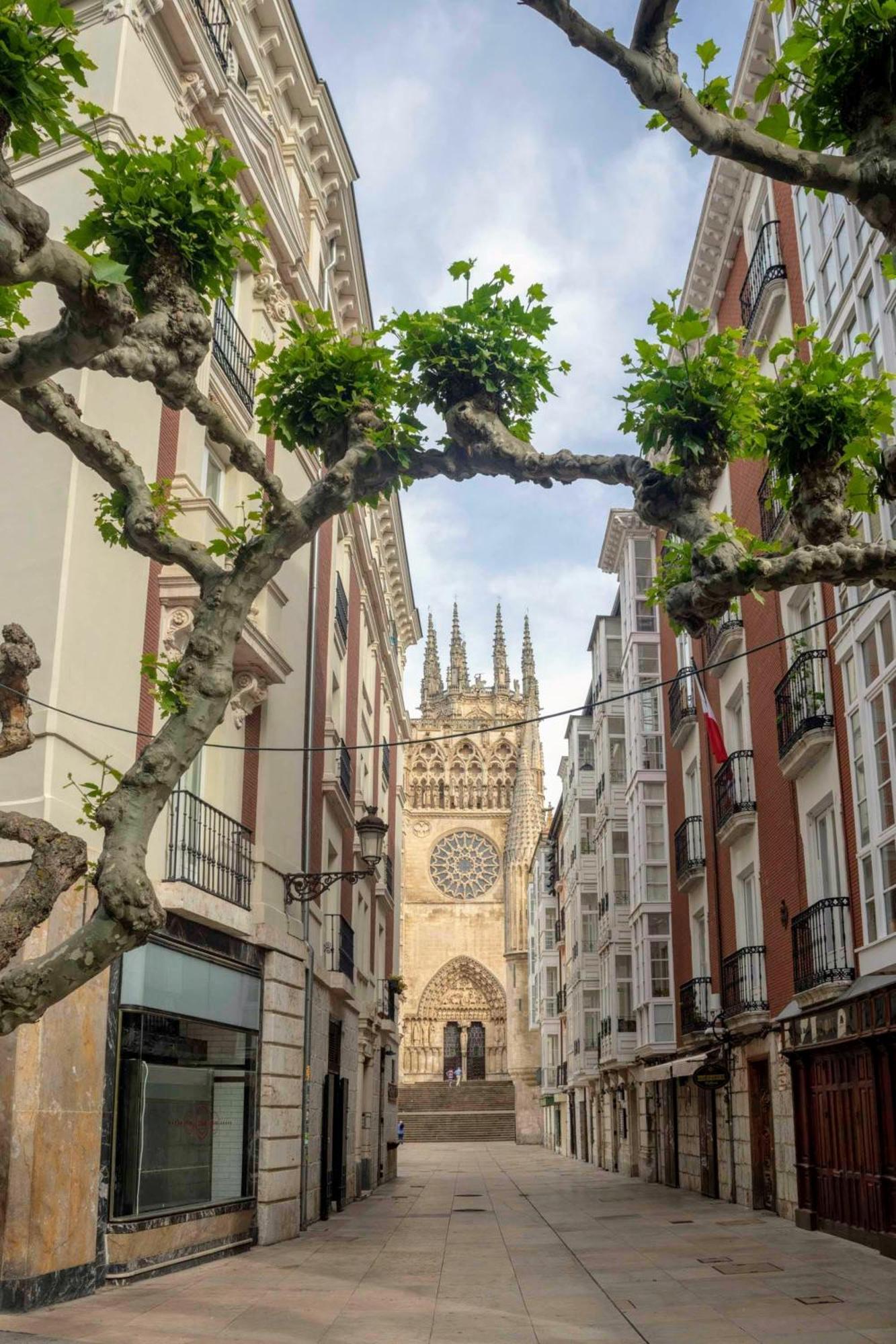 Dali'S Sanctuary In Granada - Private Parking Free Apartamento Exterior foto